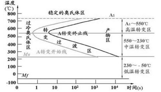 稳定奥氏金相示意图