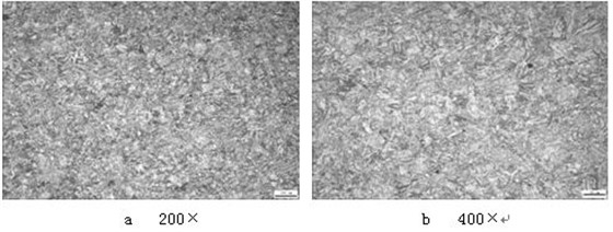 1Cr12Ni2WMoVNb 螺栓淬火回火金相组织