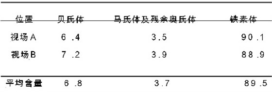 双相钢彩色金相显微组织形貌观察表