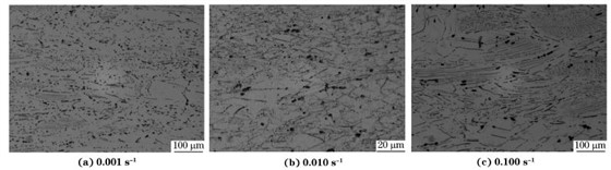图６ 在９８０ ℃、不同应变速率下压缩至应变量为７０％后GH４１６９合金的显微组织