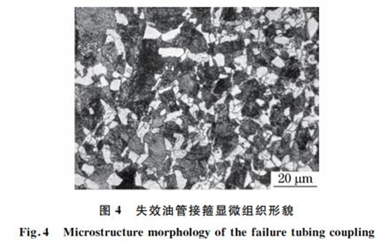 图４ 失效油管接箍显微组织形貌