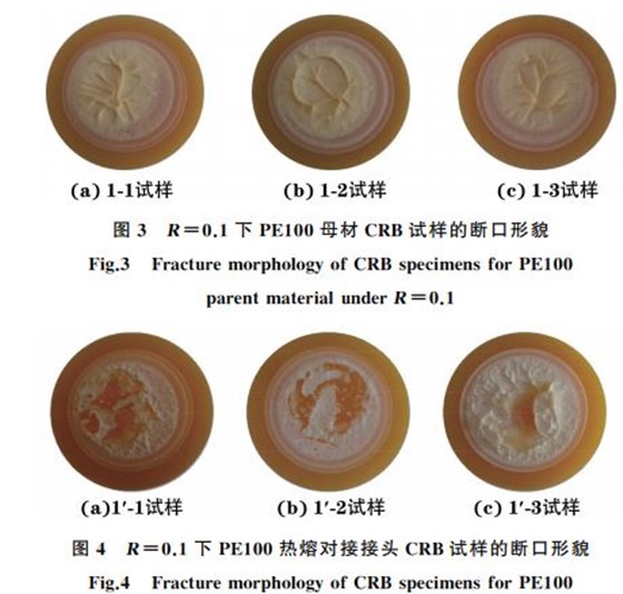 图４ R＝０．１下 PE１００热熔对接接头 CRB试样的断口形貌