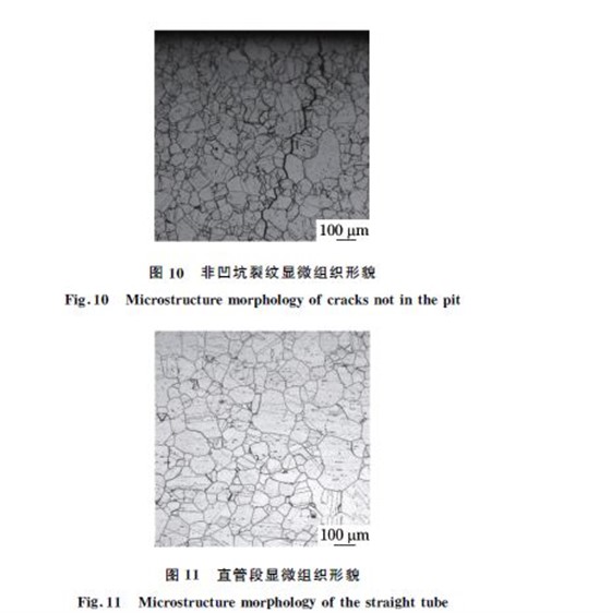 图１０ 非凹坑裂纹显微组织形貌