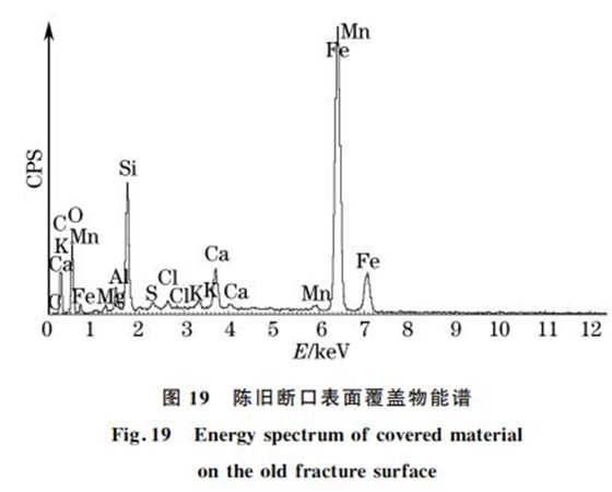 图１９ 陈旧断口表面覆盖物能谱