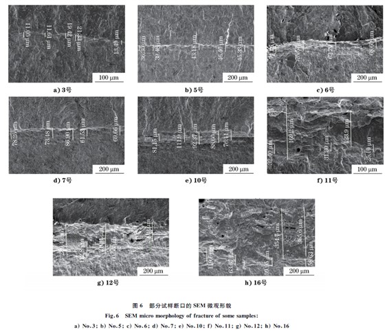 图６ 部分试样断口的SEM 微观形貌