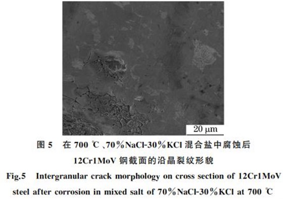 １２Cr１MoV钢截面的沿晶裂纹形貌