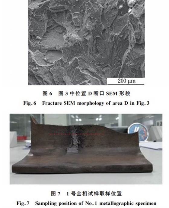 图６ 图３中位置 D断口SEM 形貌