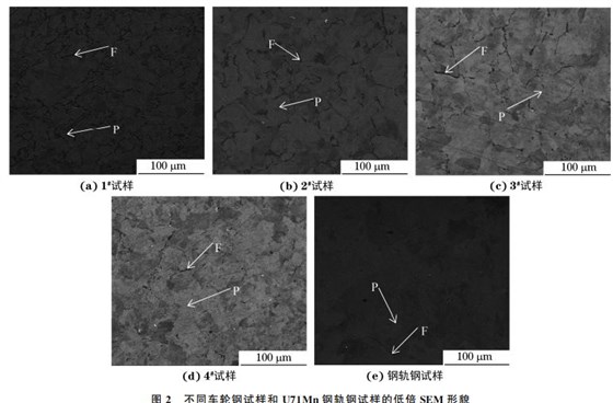 图２ 不同车轮钢试样和 U７１Mn钢轨钢试样的低倍SEM 形貌