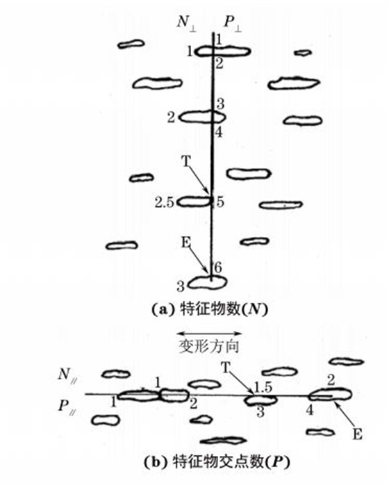 图２ 显微组织的特征物数(N)和特征物交点数(P)计算示意图