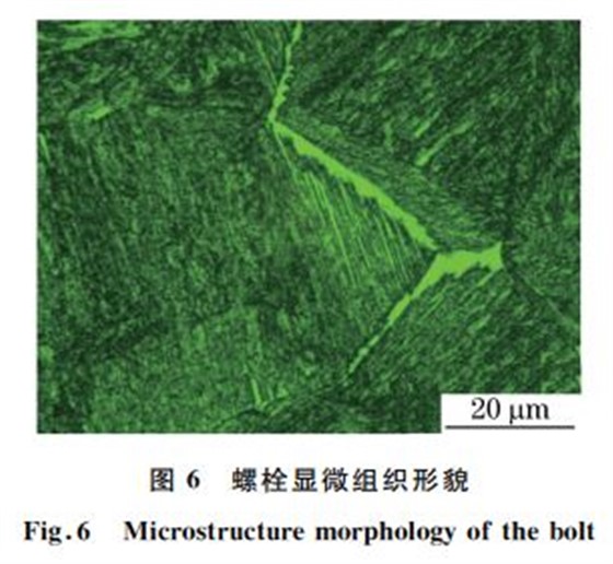 图６ 螺栓显微组织形貌