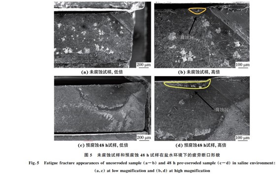 未腐蚀试样和预腐蚀４８h试样在盐水环境下的疲劳断口形貌