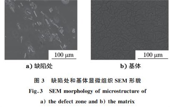 图３ 缺陷处和基体显微组织SEM 形貌