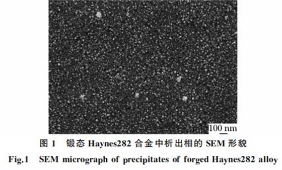 图１ 锻态 Haynes２８２合金中析出相的SEM 形貌