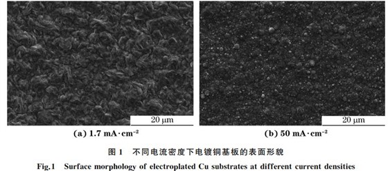 图１ 不同电流密度下电镀铜基板的表面形貌