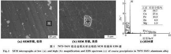 图１ ７０７５ＧT６５１铝合金粗大析出相的SEM 形貌和 EDS谱
