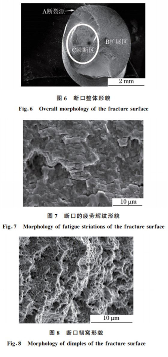图８ 断口韧窝形貌