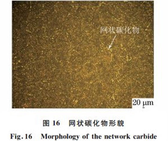 图１６ 网状碳化物形貌