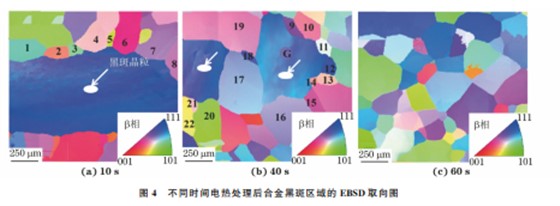 企业微信截图_20230810163339