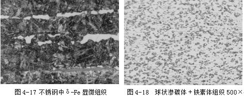 不锈钢金相组织检测