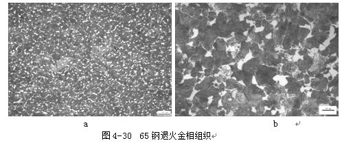 65钢退火金相组织