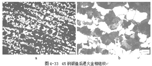 钢锻造后退火金相组织