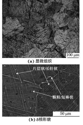 图１ 经DP处理后GH４１６９合金的显微组织和δ相形貌