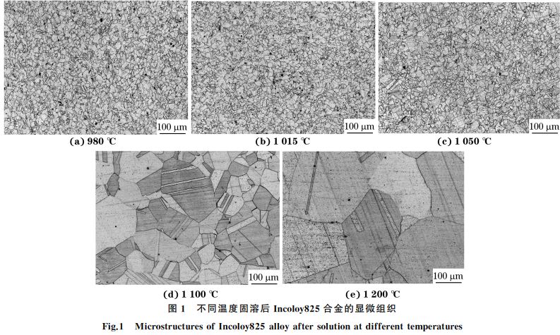 图１ 不同温度固溶后Incoloy８２５合金的显微组织