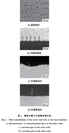 图２ 爆裂位置水冷壁管显微形貌