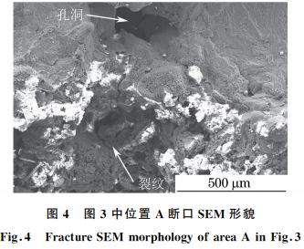 图４ 图３中位置 A断口SEM 形貌