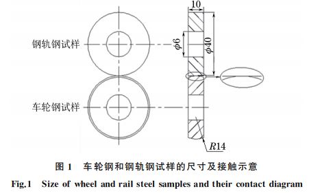 图１ 车轮钢和钢轨钢试样的尺寸及接触示意