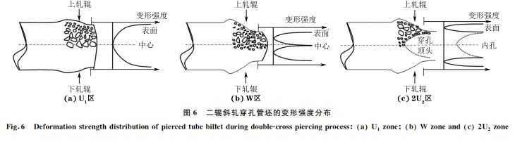 图6 二辊斜轧穿孔管坯的变形强度分布