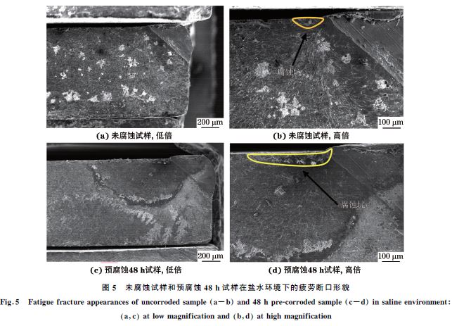 图５ 未腐蚀试样和预腐蚀４８h试样在盐水环境下的疲劳断口形貌