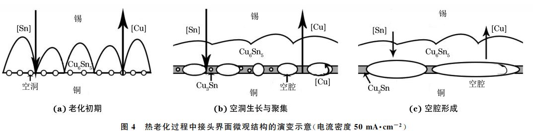 图４ 热老化过程中接头界面微观结构的演变示意(电流密度５０mA??cm－２)