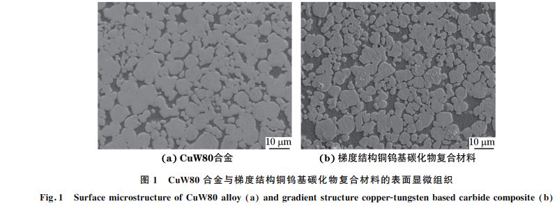 图１ CuW８０合金与梯度结构铜钨基碳化物复合材料的表面显微组织